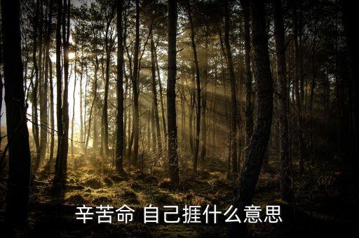 苦捱是什么意思，請(qǐng)問苦啷是什么意思