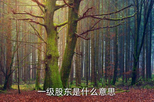 二級股東是什么意思，兩級股權(quán)結(jié)構(gòu)