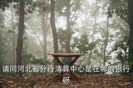 河北省分行清算中心是什么，請問河北省分行清算中心是在哪的銀行呀