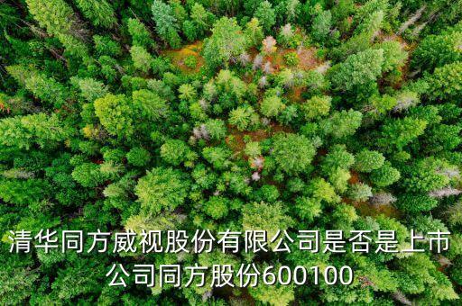威視股份什么時(shí)候上市，威創(chuàng)股份什么時(shí)候上市