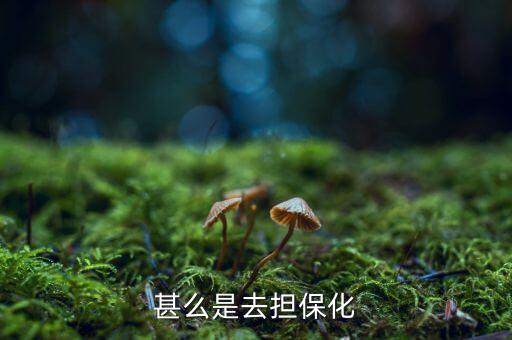 什么叫p2p去擔(dān)?；?，甚么是去擔(dān)?；?/></a></span><span id=
