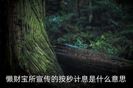 懶財寶什么時候計息，懶財寶T0計息什么意思
