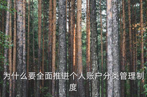 為什么進(jìn)行賬戶分類(lèi)，為什么要全面推進(jìn)個(gè)人賬戶分類(lèi)管理制度