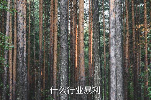 什么行業(yè)暴利，什么行業(yè)暴利