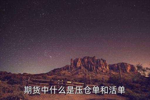 上海期貨交易所標(biāo)準(zhǔn)倉(cāng)單是什么，期貨中倉(cāng)單是什么