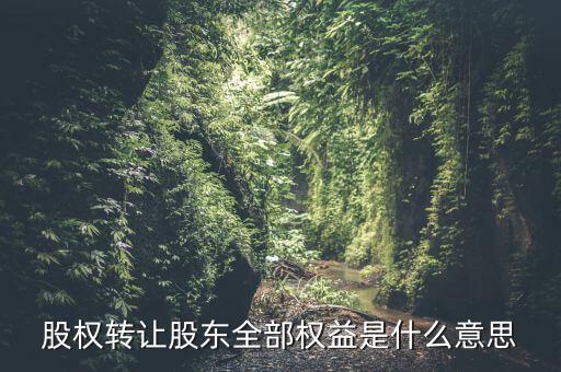 什么是全權(quán)益公司，股權(quán)轉(zhuǎn)讓股東全部權(quán)益是什么意思