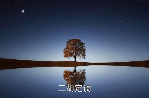 定調(diào)什么意思，二胡定調(diào)