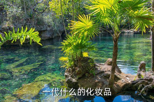 化妝品代領(lǐng)什么意思，代理化妝品怎么回事是怎么賺錢的
