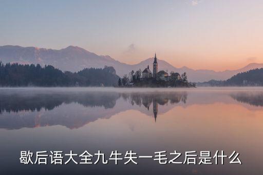九牛失一毛的下預示什么，九牛失一毛