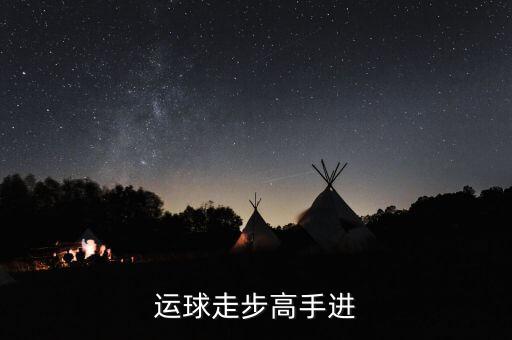 德隆治下的湘火炬戰(zhàn)略不包括什么，德隆治下的湘火炬戰(zhàn)略包括有哪些
