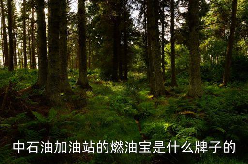 珠海中國石油里賣的是什么燃油寶，燃油寶是什么網(wǎng)上有得賣嗎