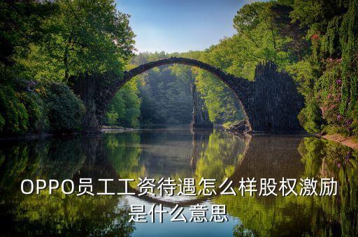 全員持股什么意思，OPPO員工工資待遇怎么樣股權(quán)激勵(lì)是什么意思
