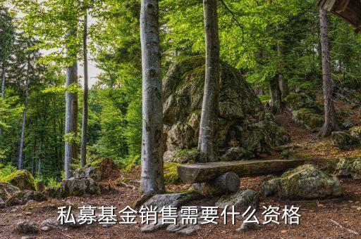 銷售基金需要什么資質(zhì)，財富公司銷售金融產(chǎn)品需要什么牌照或者資質(zhì)