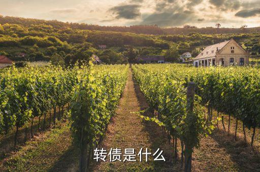 浙能轉(zhuǎn)債是什么，浙能電力轉(zhuǎn)債贖回兌付摘牌是利好還是利空