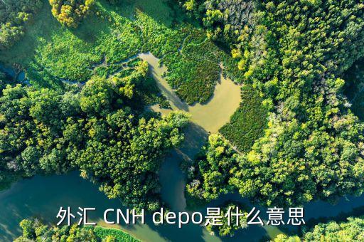 外匯de30是什么，新手一枚想知道TigerWit老虎外匯中的us30是什么意思