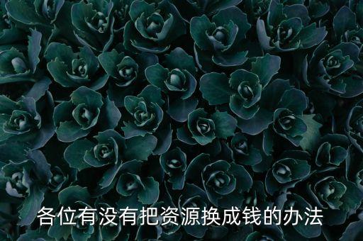 通過什么將資源轉(zhuǎn)化為財(cái)富，各位有沒有把資源換成錢的辦法
