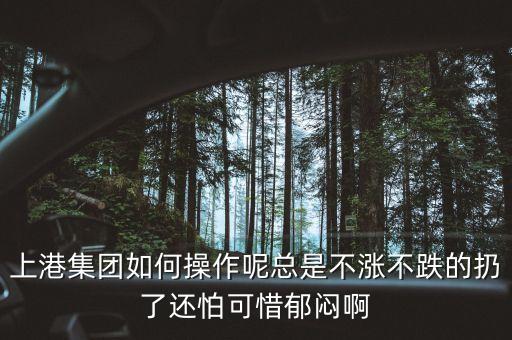 上港集團什么級別，上港集團振東集裝箱碼頭分公司的介紹