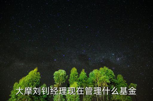 大摩劉釗經(jīng)理現(xiàn)在管理什么基金呢，大摩貨幣是哪個(gè)基金公司的產(chǎn)