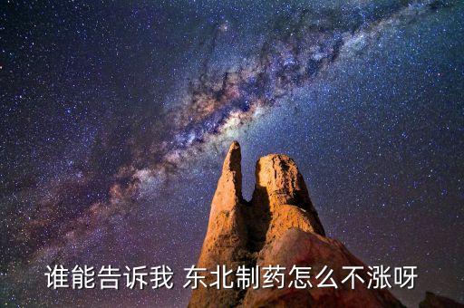東北制藥為什么不漲，002251為什么不漲是不是公司出問題了