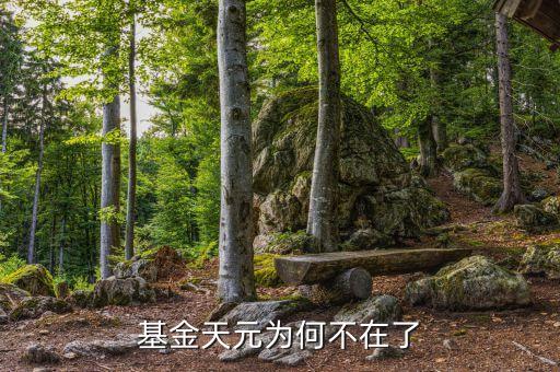 基金天元為什么停牌，基金天元為何不在了