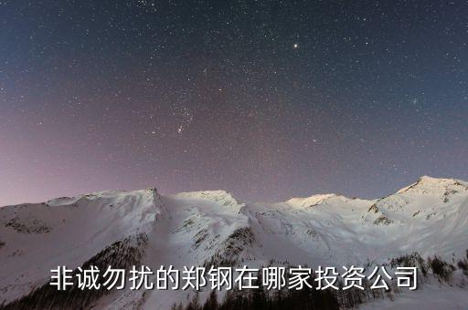 鄭鋼的投資公司是什么，南大鄭鋼投資什么發(fā)的財