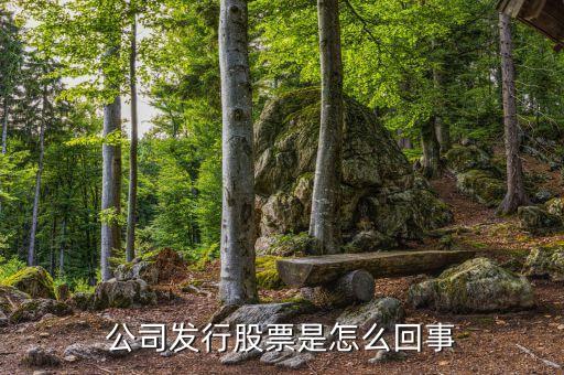 公司為什么發(fā)行股票，公司發(fā)行股票是怎么回事