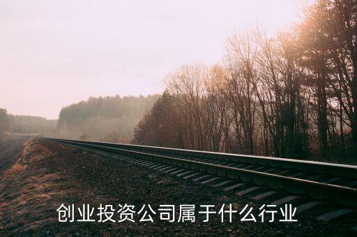 創(chuàng)業(yè)投資公司屬于什么行業(yè)，投資開(kāi)發(fā)屬于什么行業(yè)