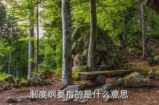 什么是公司綱要，制度綱要指的是什么意思