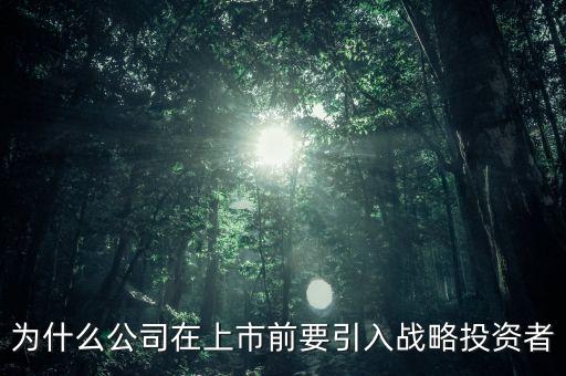 上市為什么要引入風(fēng)投，為什么公司在上市前要引入戰(zhàn)略投資者