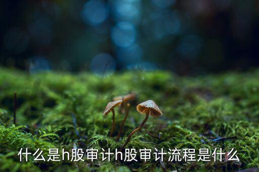 H股審計是什么意思，香港上市公司的審計與內(nèi)地審計有什么區(qū)別