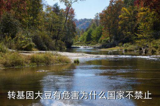 為什么說轉(zhuǎn)基因大豆會致癌，轉(zhuǎn)基因大豆有危害為什么國家不禁止