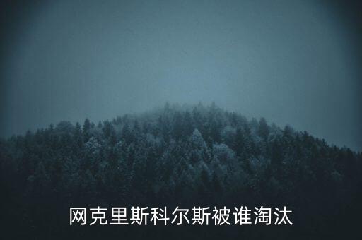 斯科爾斯為什么叫，斯科爾斯為什么叫做生姜頭