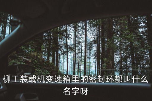 柳工836使用的什么鋼圈，柳工836配用的是什么發(fā)動機(jī)