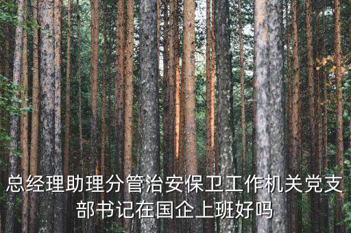 國企書記干什么的，總經(jīng)理助理分管治安保衛(wèi)工作機(jī)關(guān)黨支部書記在國企上班好嗎