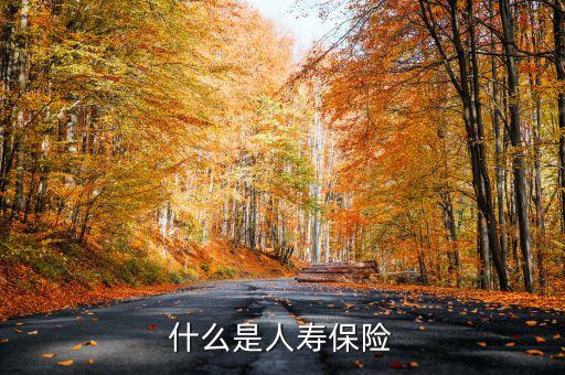 什么叫新型人壽保險(xiǎn)，什么是人壽保險(xiǎn)