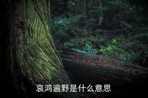 哀嚎遍野是什么意思，哀鴻遍野是什么意思