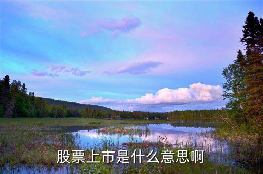 股票上市是什么意思，股票上市是什么意思啊