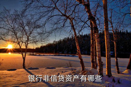 非信貸業(yè)務(wù)是什么，什么是銀行的非信貸資產(chǎn)