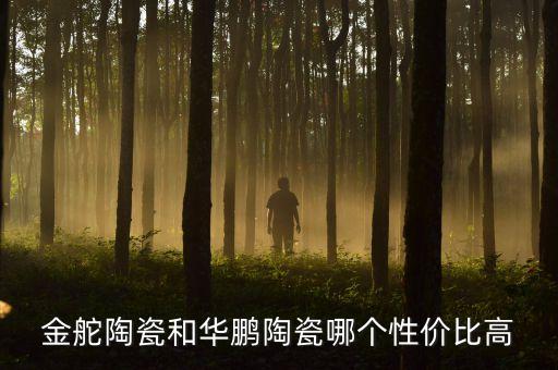 金舵陶瓷和華鵬陶瓷哪個(gè)性?xún)r(jià)比高