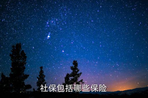 社保保險(xiǎn)保些什么，社會(huì)保險(xiǎn)包括哪些險(xiǎn)