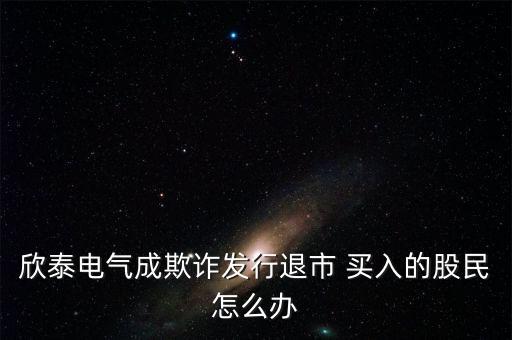 欣泰電氣成立什么公司，丹東欣泰電氣股份有限公司
