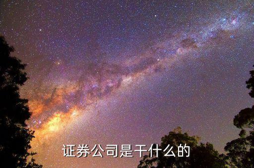 正規(guī)的證券公司是做什么的，證券公司干什么的