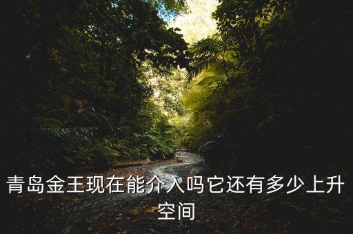 2015青島金王什么概念，青島金王現(xiàn)在能介入嗎它還有多少上升空間