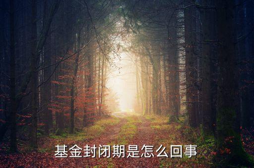 封閉式基金為什么要封閉，為什么認(rèn)購(gòu)基金要封閉期封閉期是3個(gè)月內(nèi)不得提現(xiàn)