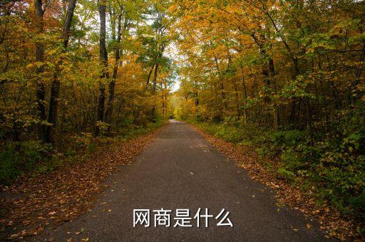 dt網(wǎng)商是什么，網(wǎng)商是什么