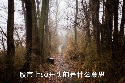 so股票什么意思，股市上so開頭的是什么意思