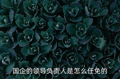 國(guó)企的領(lǐng)導(dǎo)負(fù)責(zé)人是怎么任免的