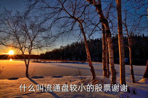 流通股很少的股票有什么特點，流通值小流通股本小的特點是什么