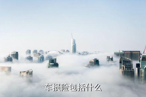 車損險主要保什么，車損是保什么的