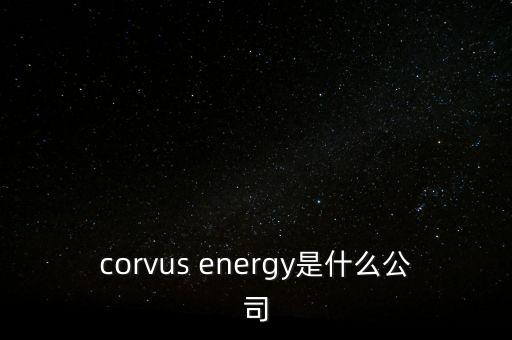 智慧松德是什么公司，corvus energy是什么公司